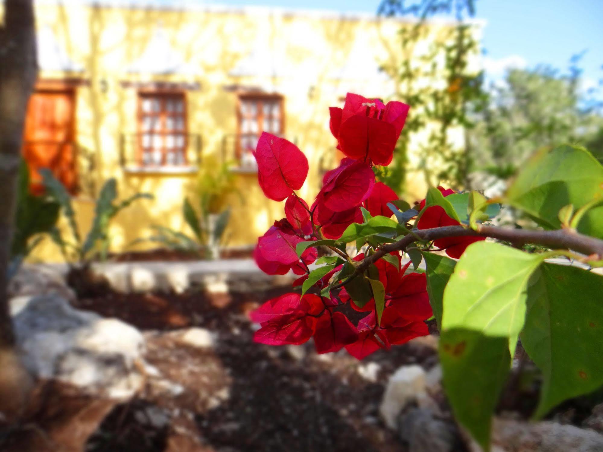 Bed and Breakfast Hacienda Коба Экстерьер фото